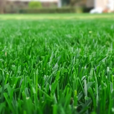 Ocean Township, NJ Lawn Care Company