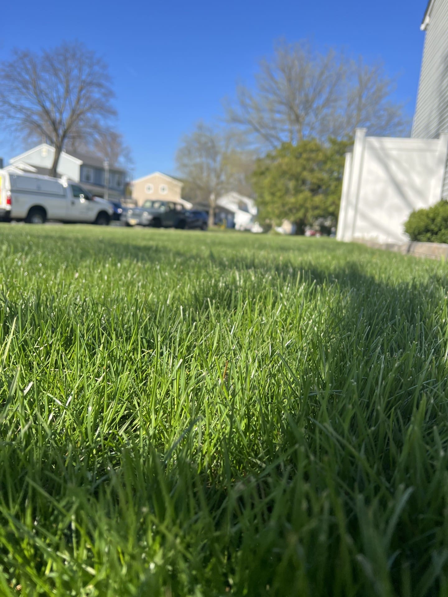 Essential Fall Lawn Care Tips for a Healthy Lawn