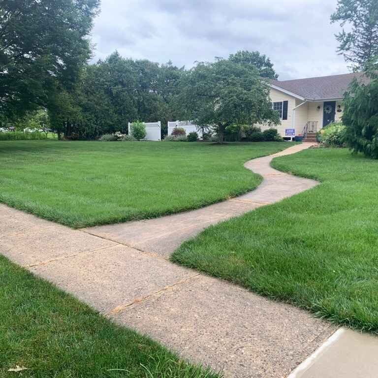 Lawn Care Services Freehold, NJ