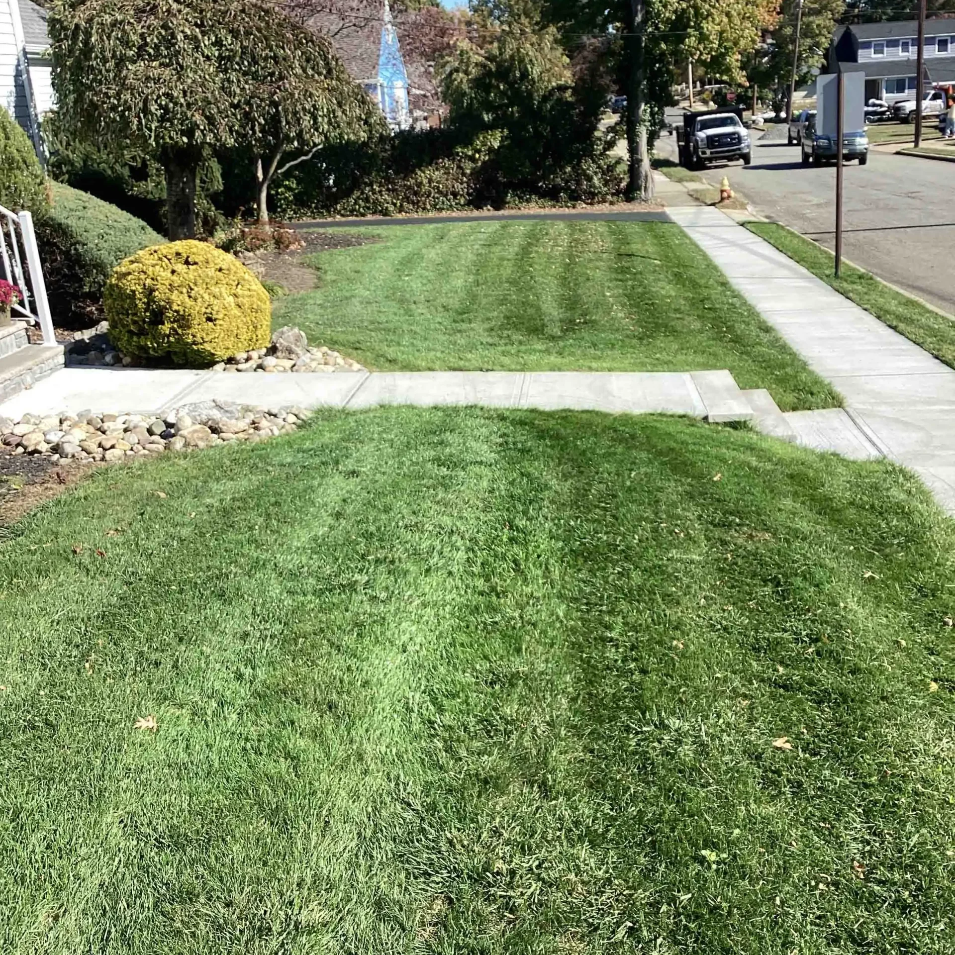 IMG 0149 Lawn Care Services Freehold, NJ