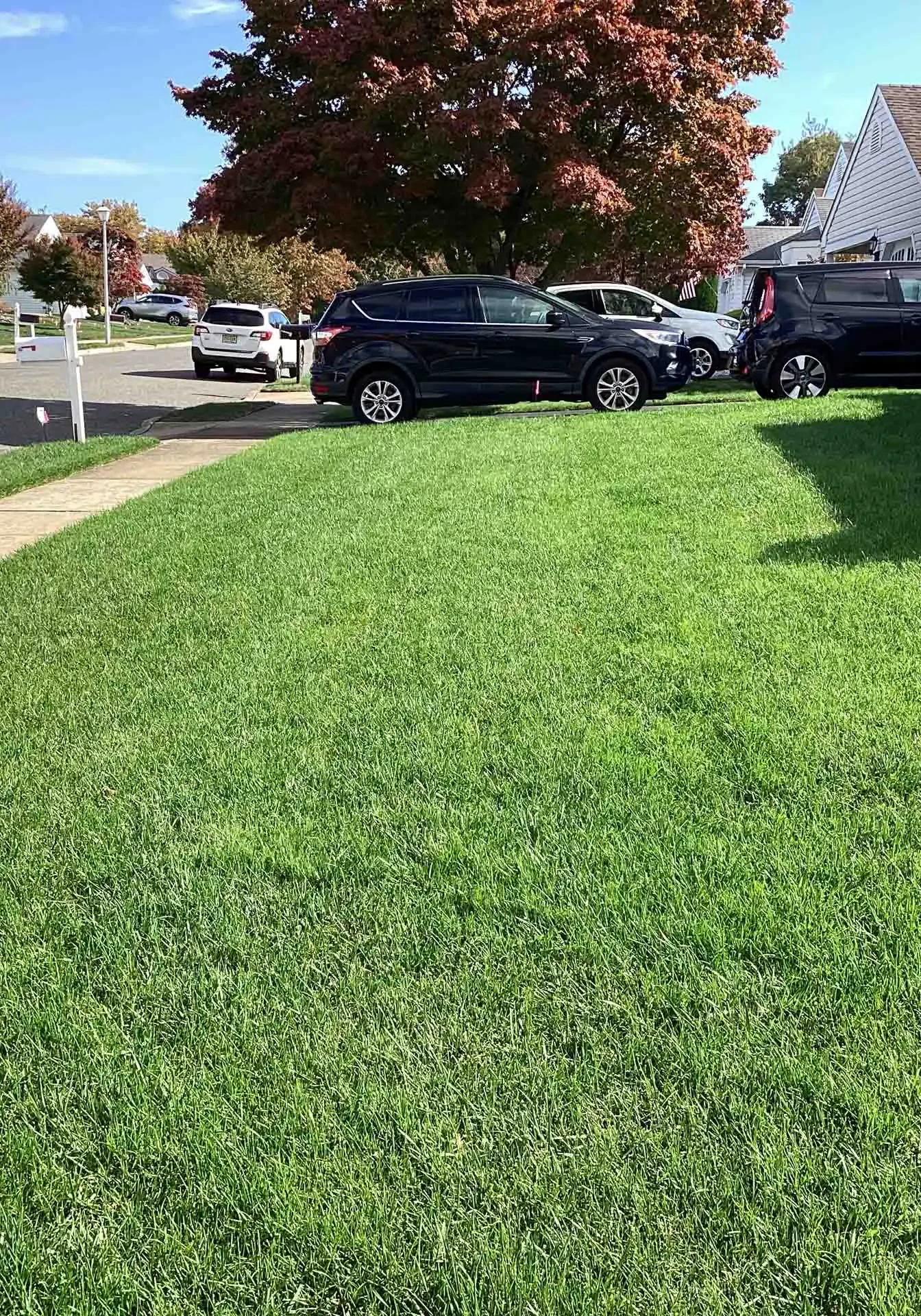 IMG 0337 Barnegat, NJ Lawn Care Services