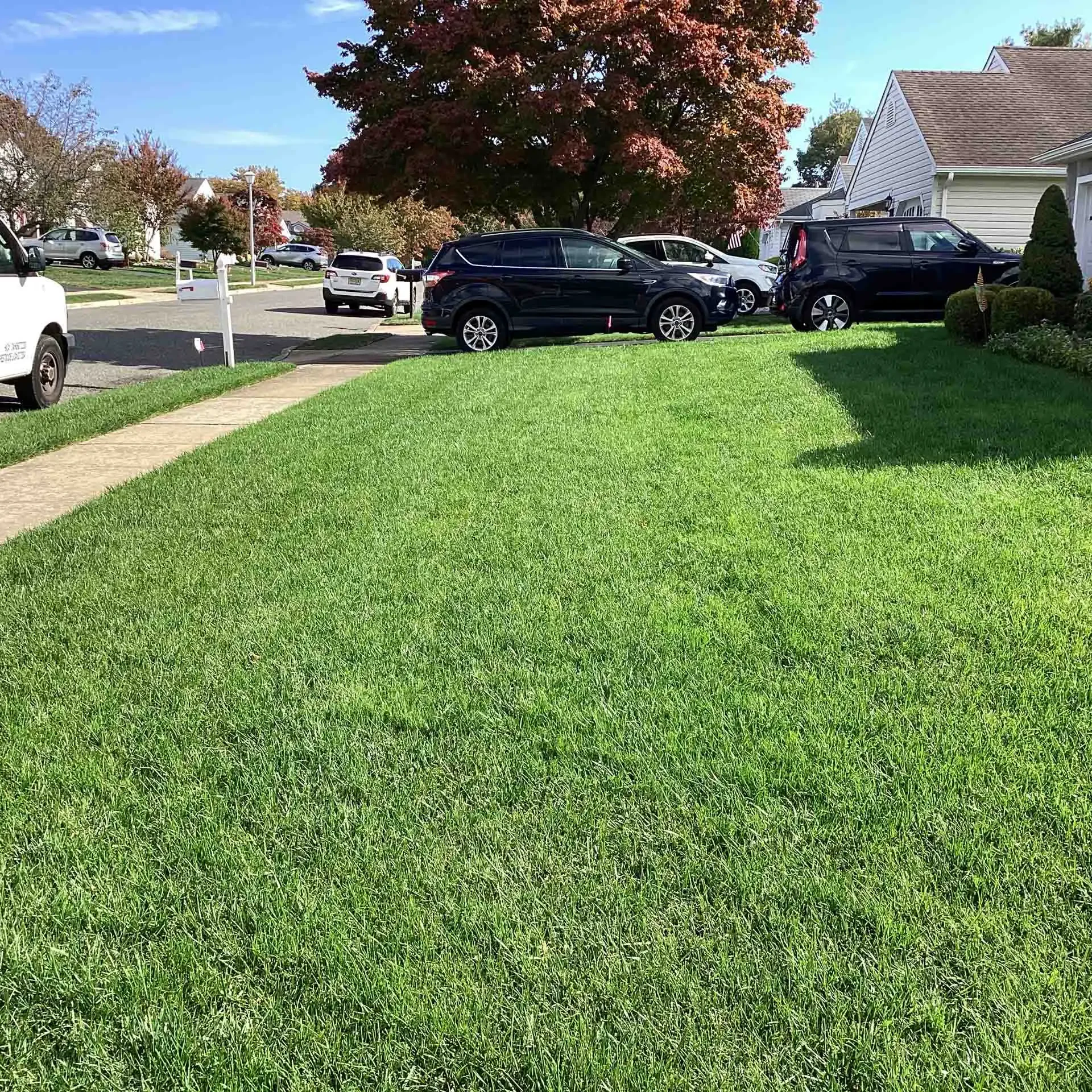 IMG 0337 Barnegat, NJ Lawn Care Services