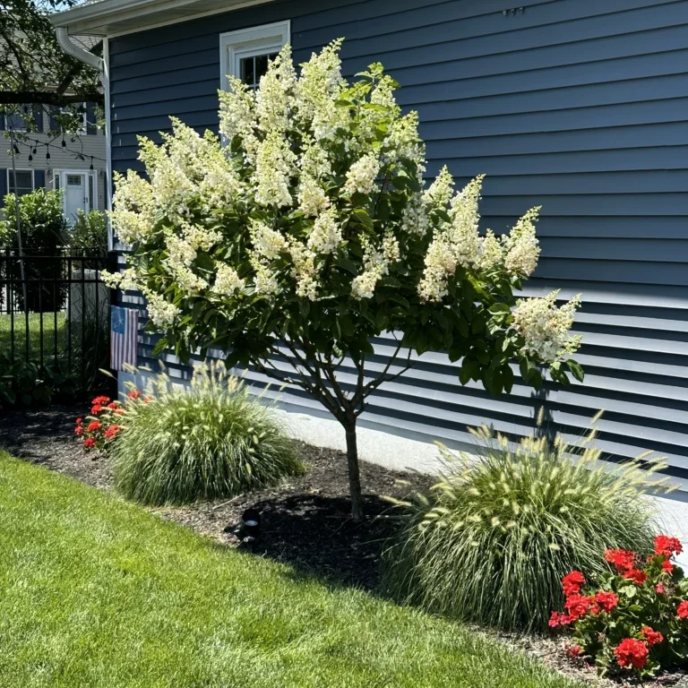 IMG 0998 Ocean Township, NJ Garden Bed Maintenance Service