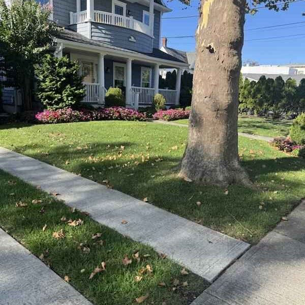 Spring Lake Nj Law Care Services Spring Lake Nj Law Care Services