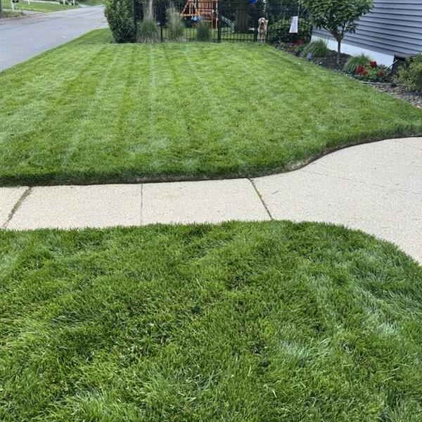 Lawn Care Services Freehold, NJ Lawn Care Services Freehold, NJ
