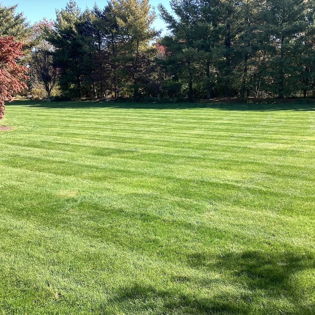 Brick Township Nj Lawn Care Services Brick Township Nj Lawn Care Services