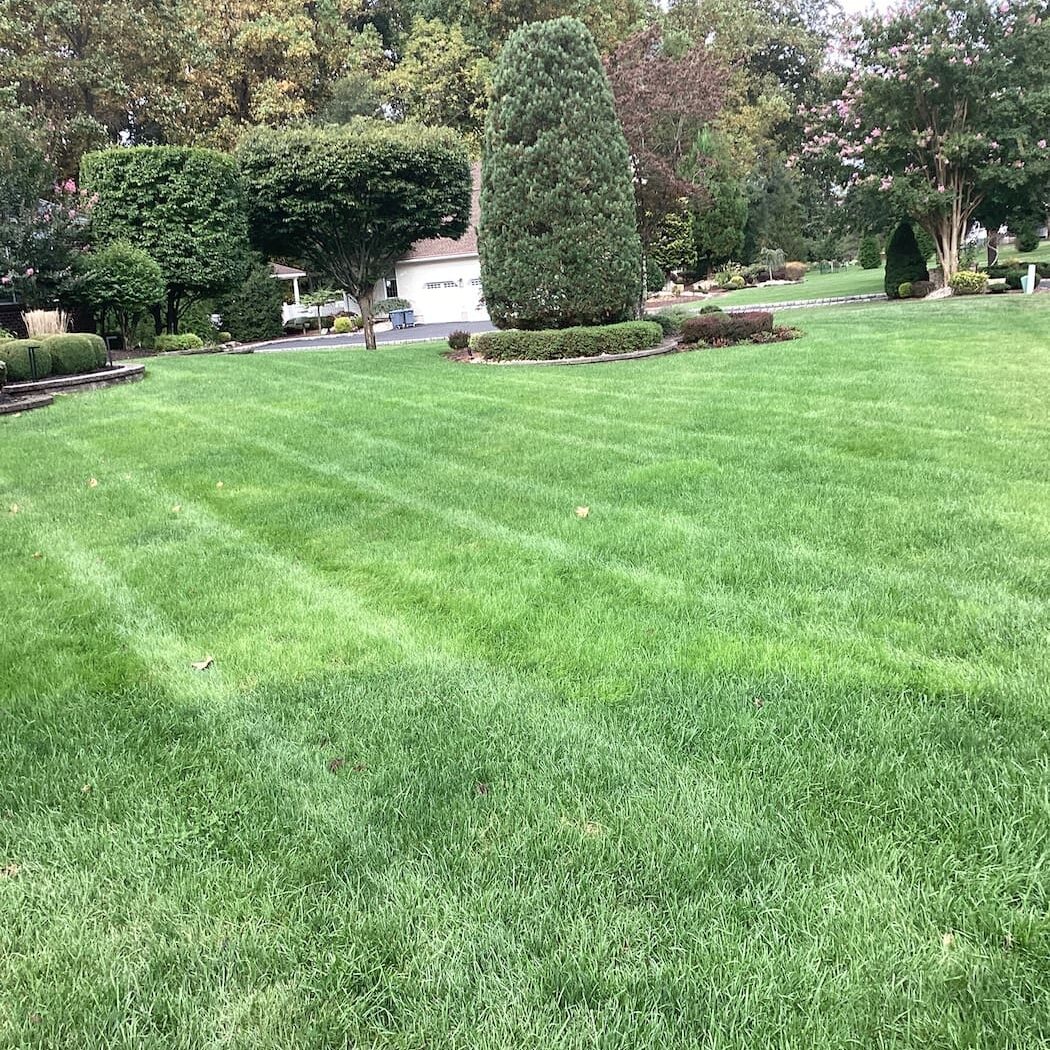 Holmdel Township Nj Lawn Care Services2