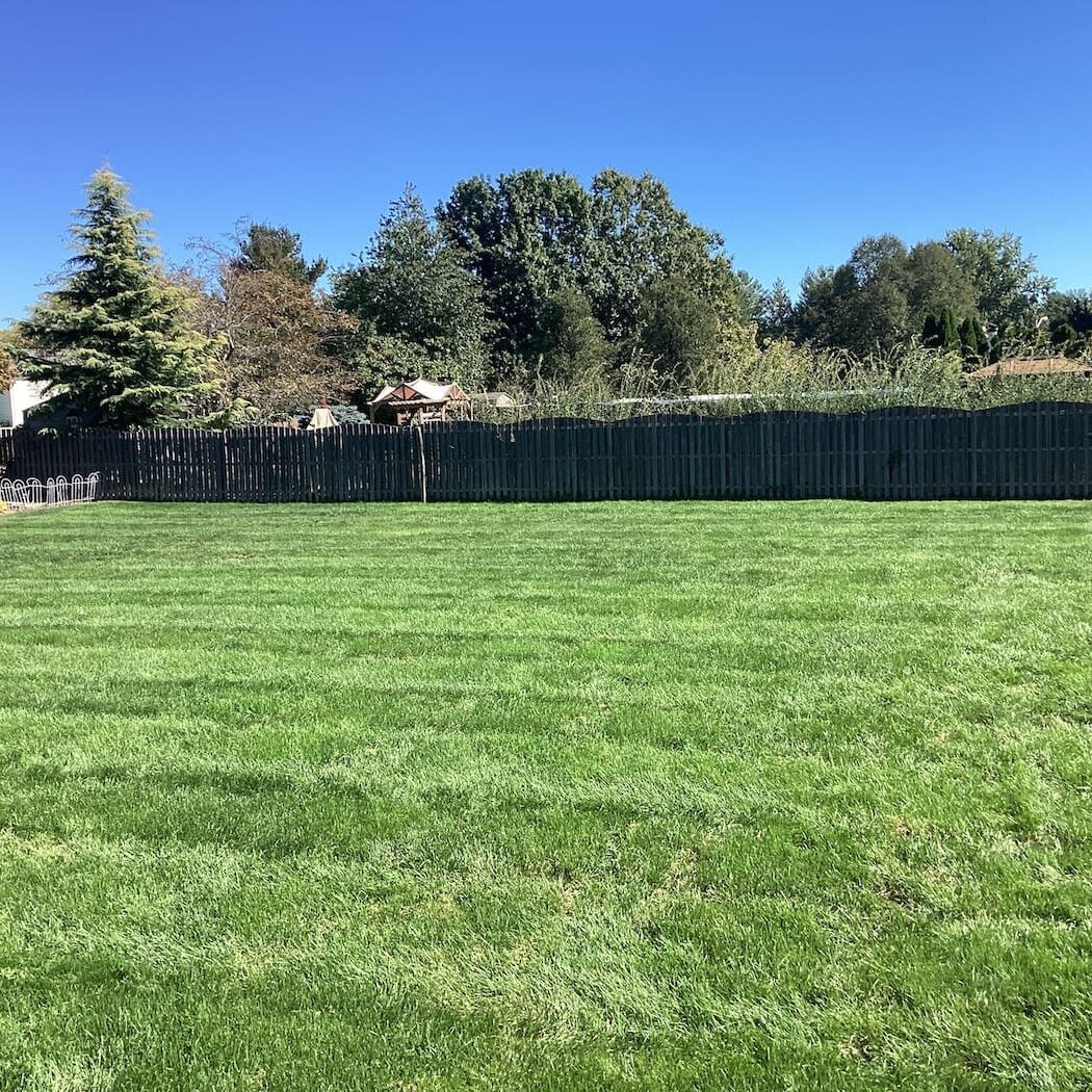 Middletown Nj Lawn Care Services