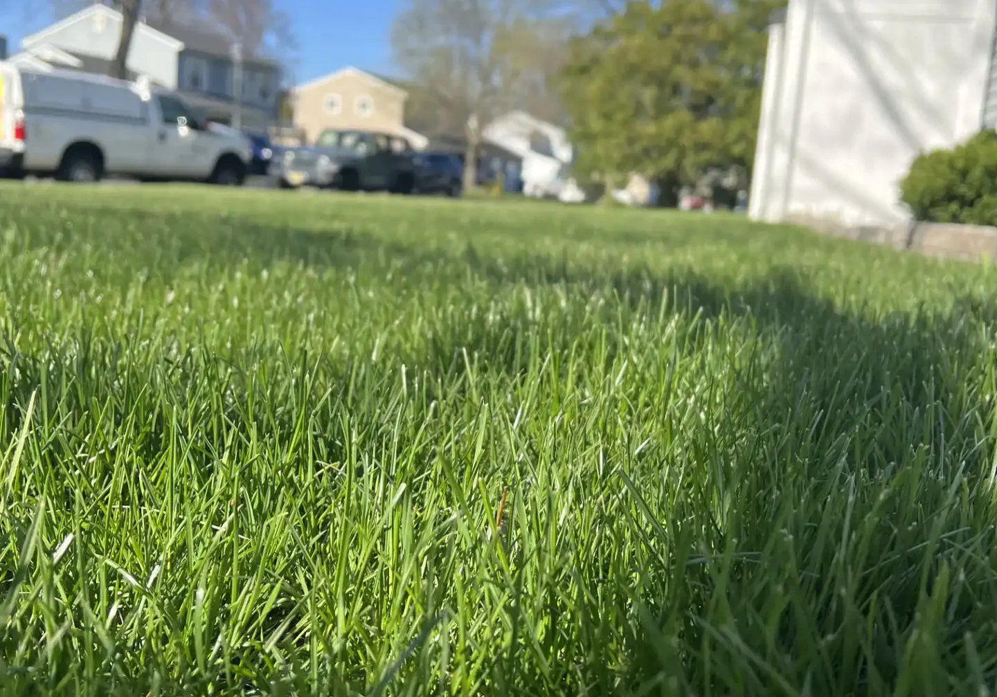 Ocean Township Nj Organic Tick Control 2